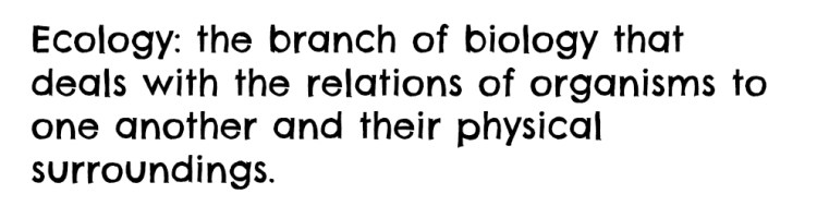 Photo on 17-10-2014 at 15.57